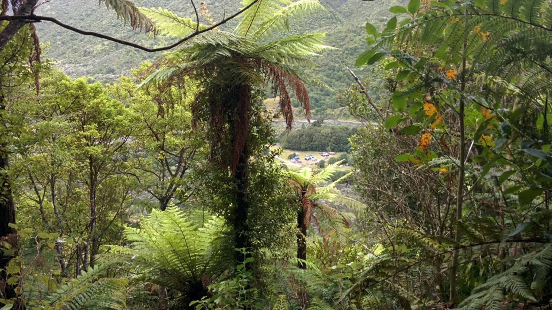 An image depicting the trail Ōtaki Forks - Fenceline Loop and its surrounding area.