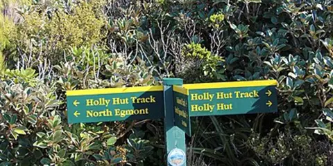 An image depicting the trail Holly Hut Track and its surrounding area.