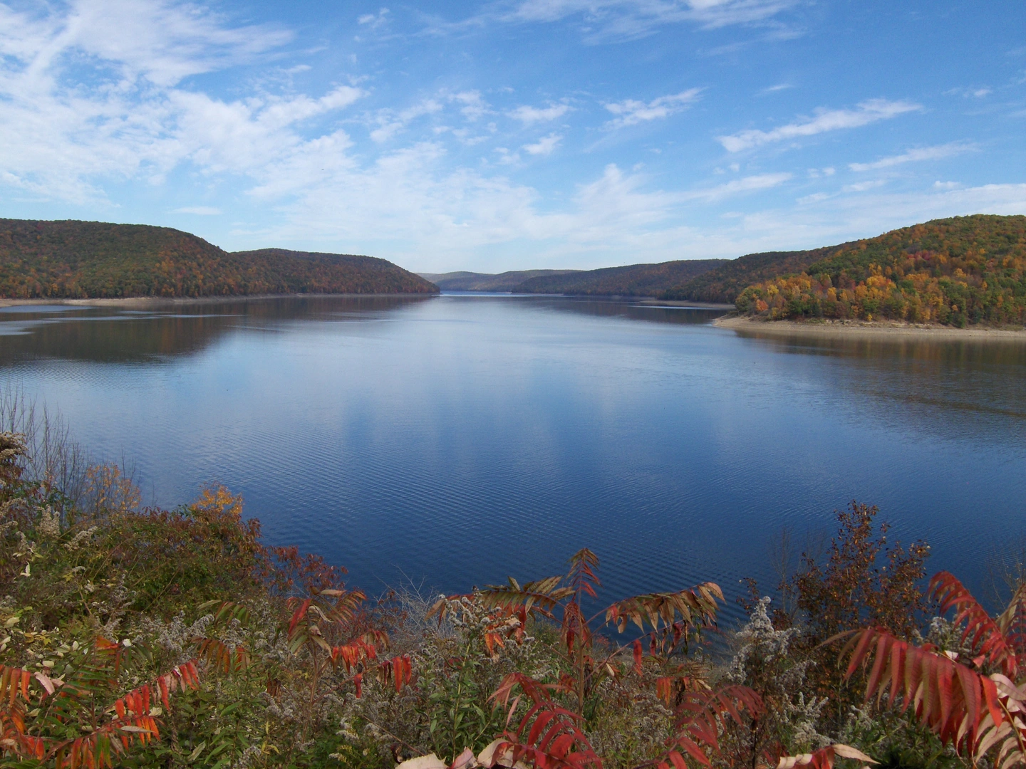 An image depicting the trail Tracy Ridge and Allegheny Reservoir Loop and its surrounding area.