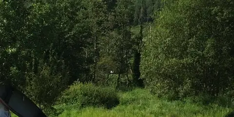 An image depicting the trail Brandon Hill Loop and its surrounding area.