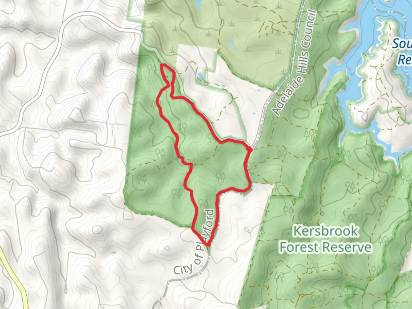 An image depicting the trail Mack Creek Track and its surrounding area.