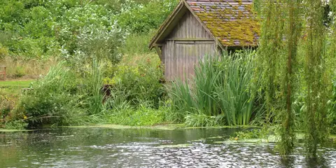 An image depicting the trail Way for the Millennium - Staffordshire and its surrounding area.