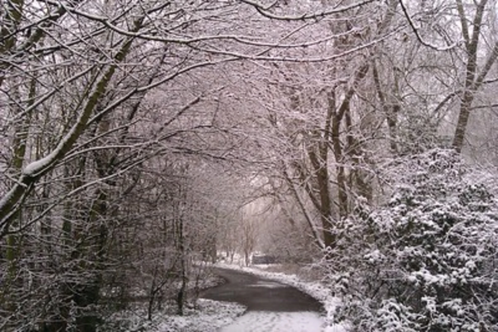 An image depicting the trail Caldy Nature Park Loop and its surrounding area.