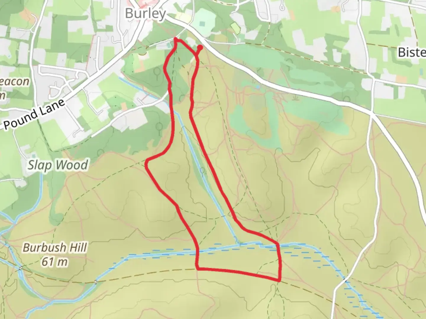 An image depicting the trail High Croft Wood Loop and its surrounding area.