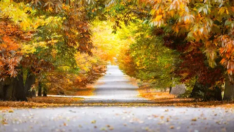 An image depicting the trail London Loop Trail and its surrounding area.