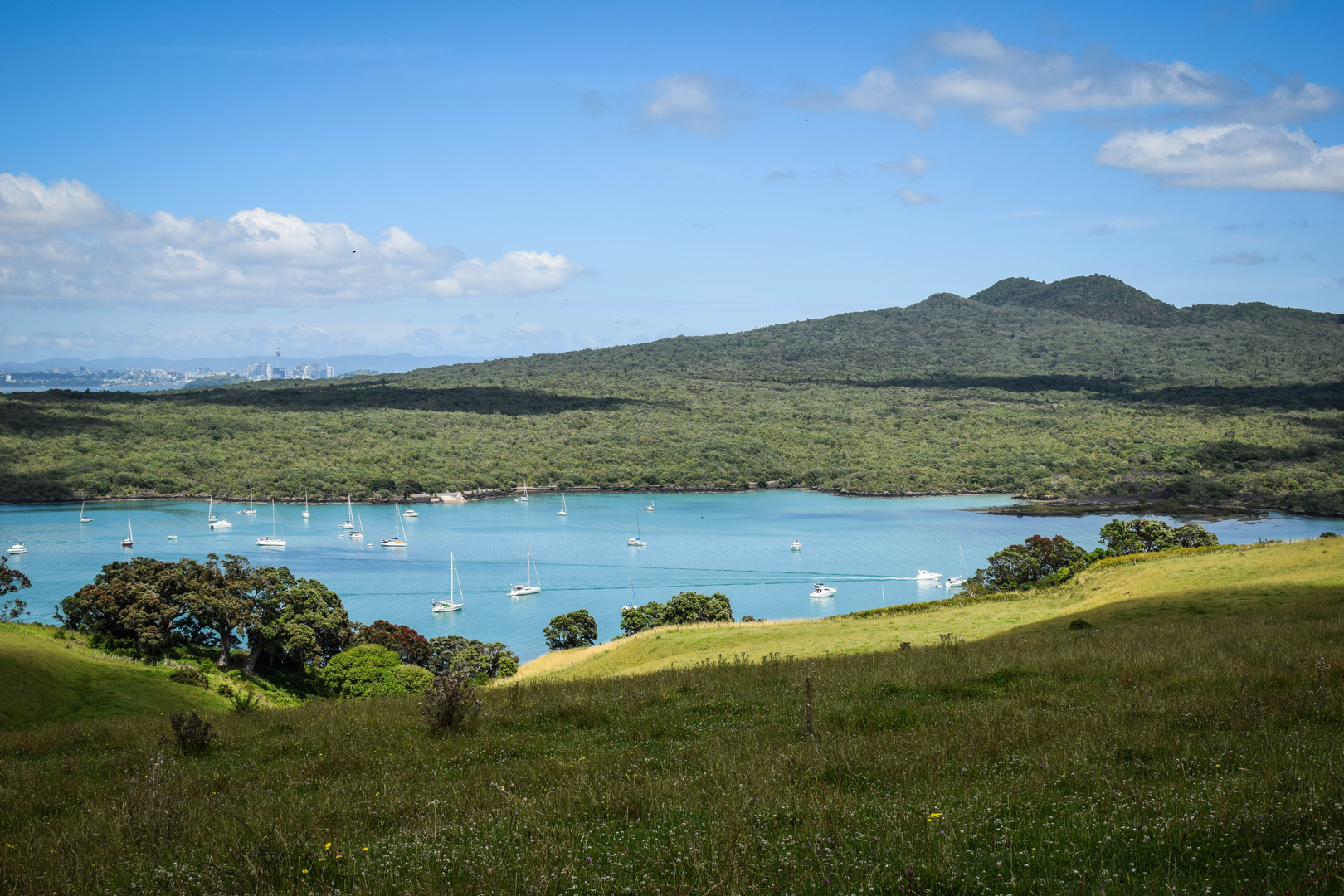 An image depicting the trail Rangitoto and Motutapu Islands and its surrounding area.