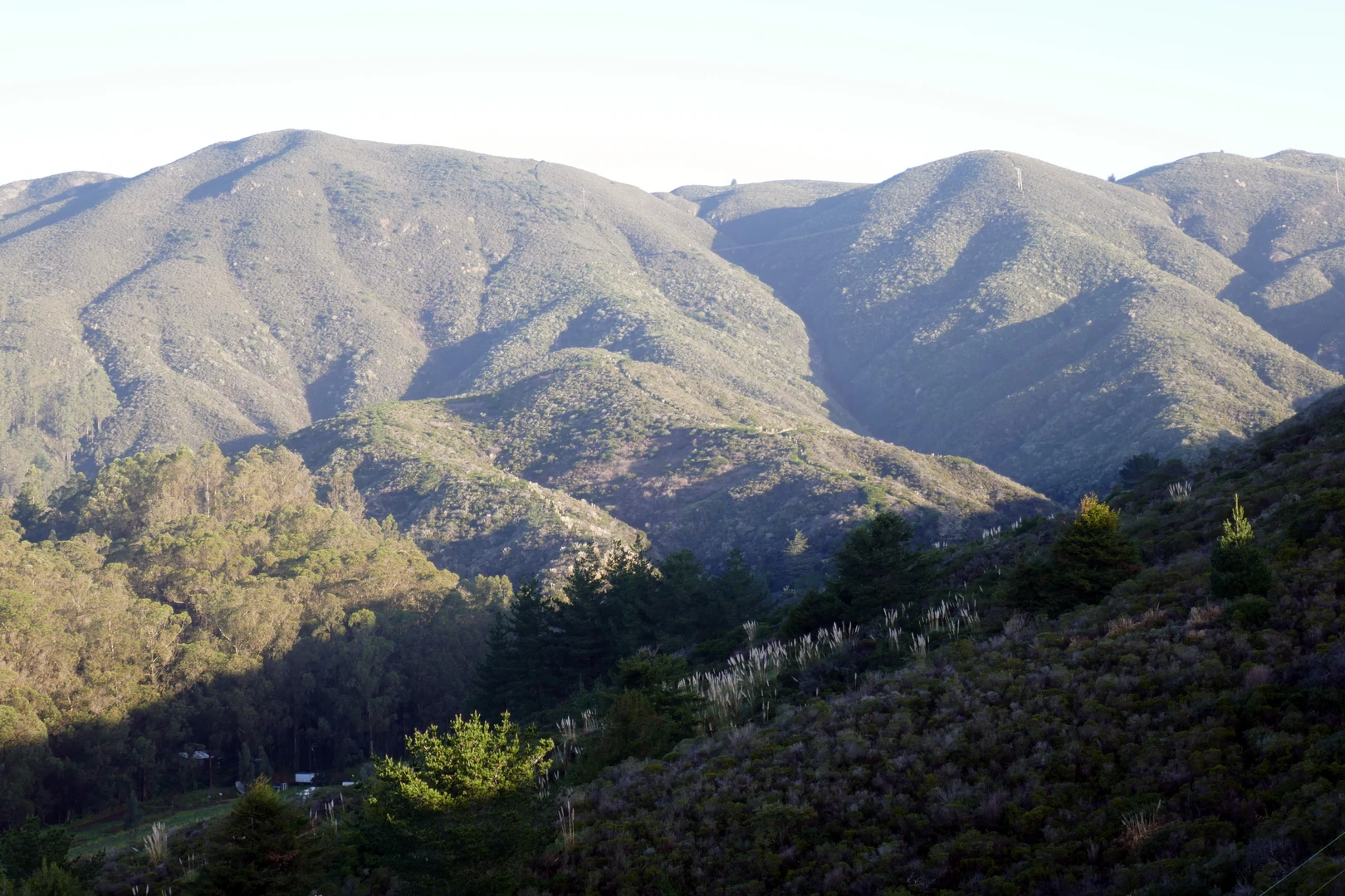 An image depicting the trail Jump Line, French Trail and Spine Trail and its surrounding area.