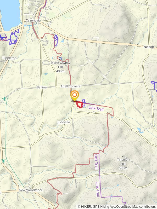 Link and Interpretive Loop