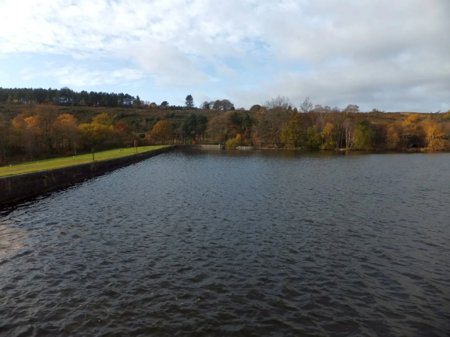 An image depicting the trail Knowle, Hayes Wood and Squabmoor Reservoir Loop and its surrounding area.