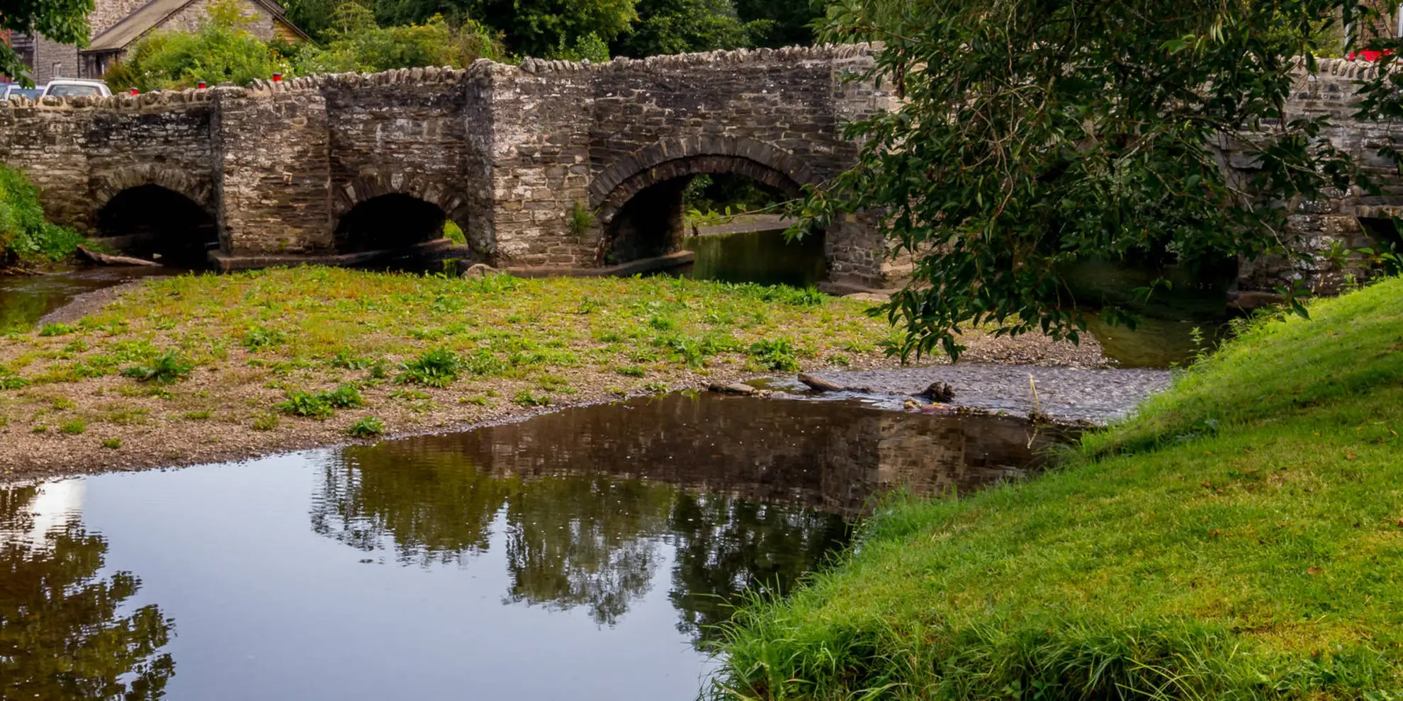 An image depicting the trail Blue Remembered Hills Trail and its surrounding area.
