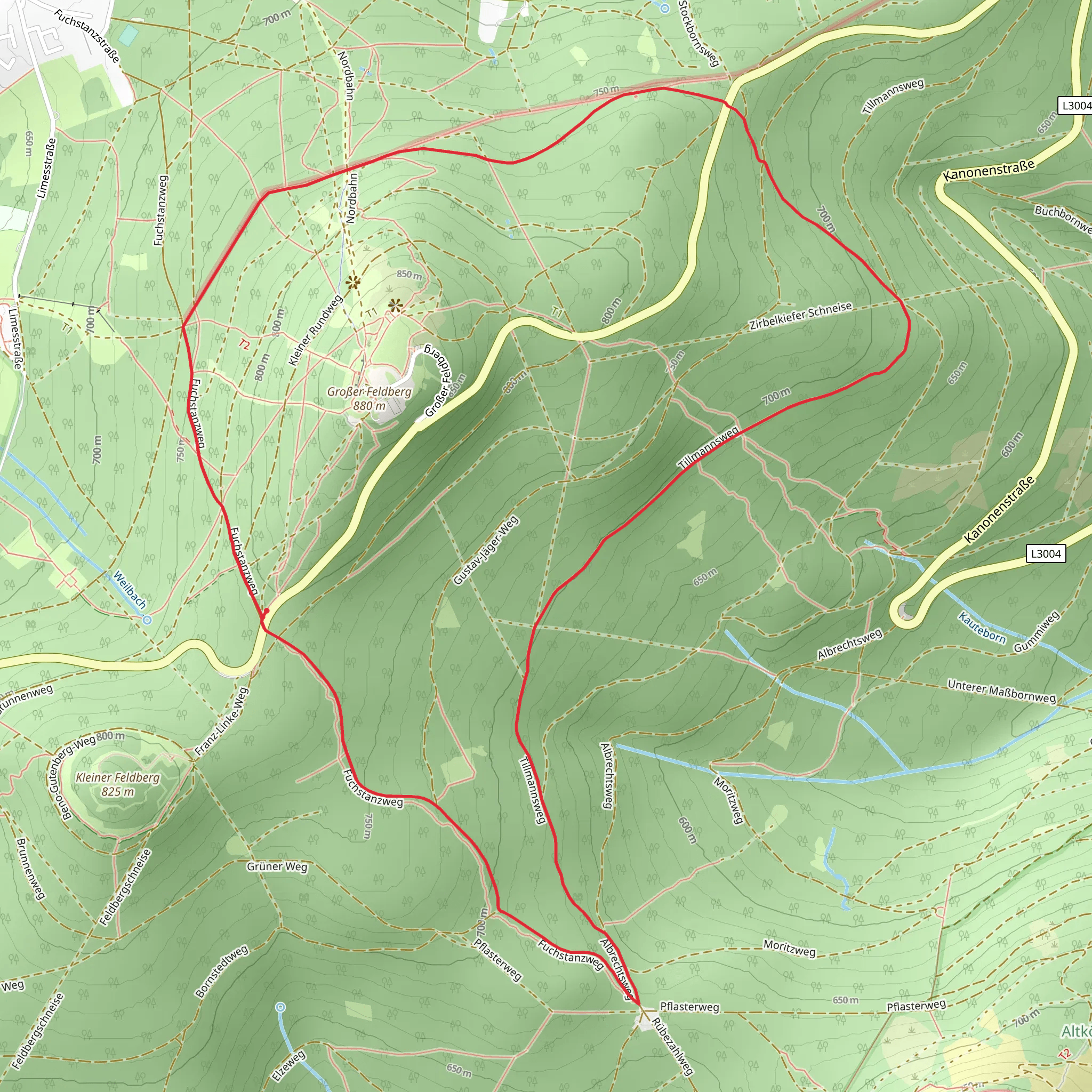 Limeswanderweg and Taunusklub Route Loop mobile static map
