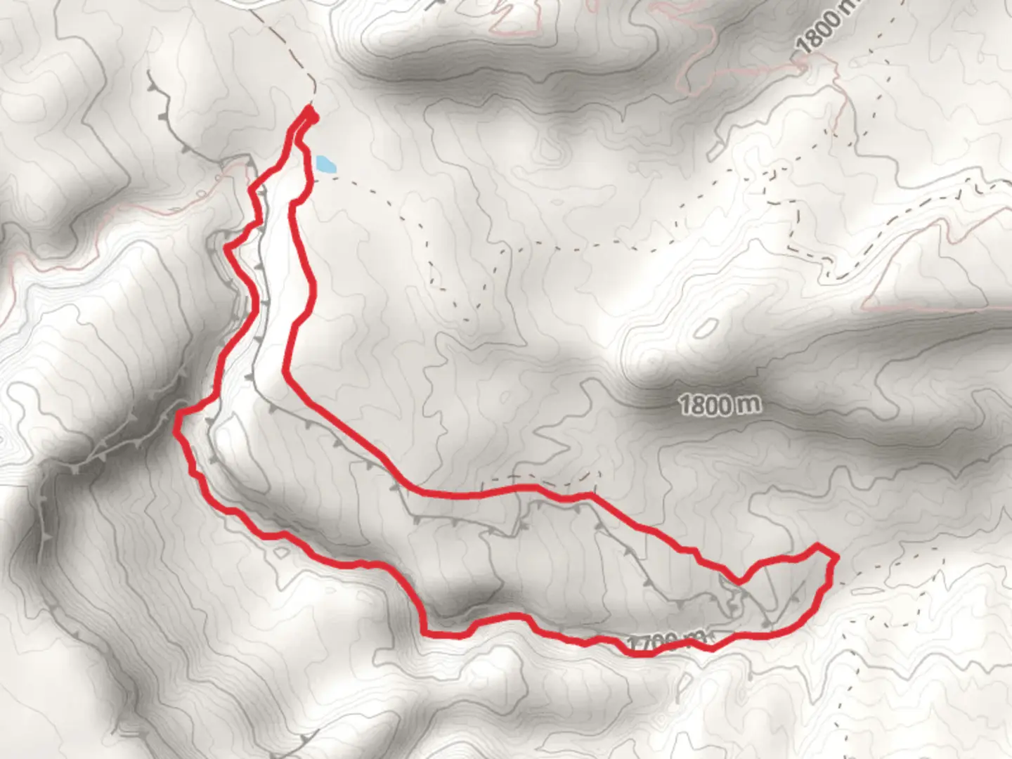 An image depicting the trail Rough Canyon Loop and its surrounding area.