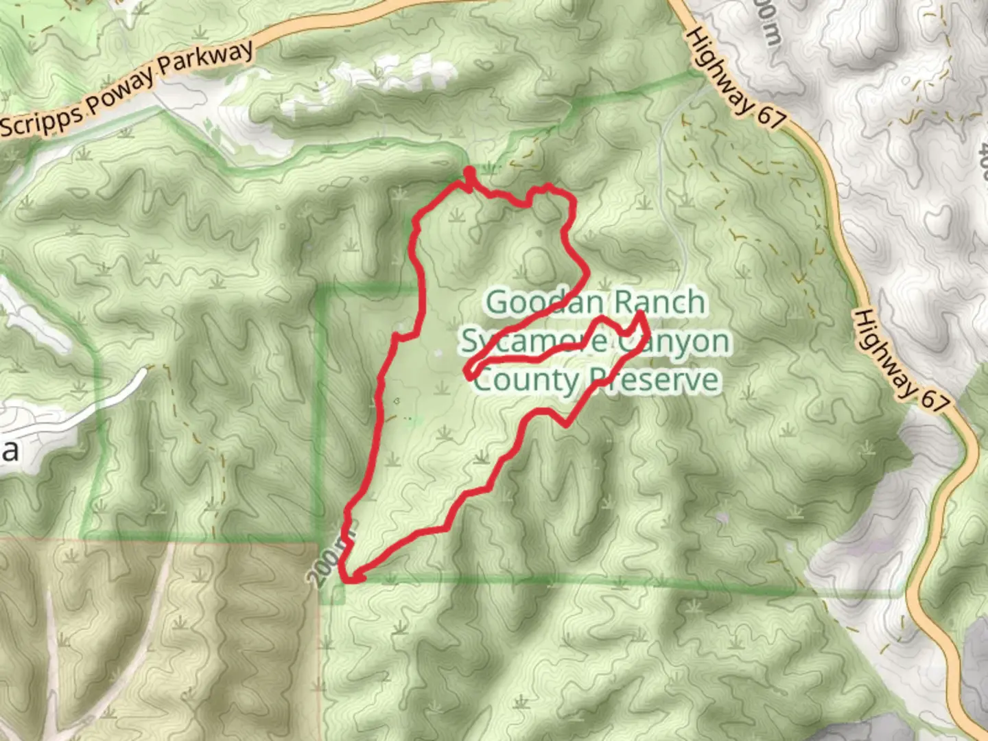 An image depicting the trail Martha Grove and Ridge Loop Trail and its surrounding area.