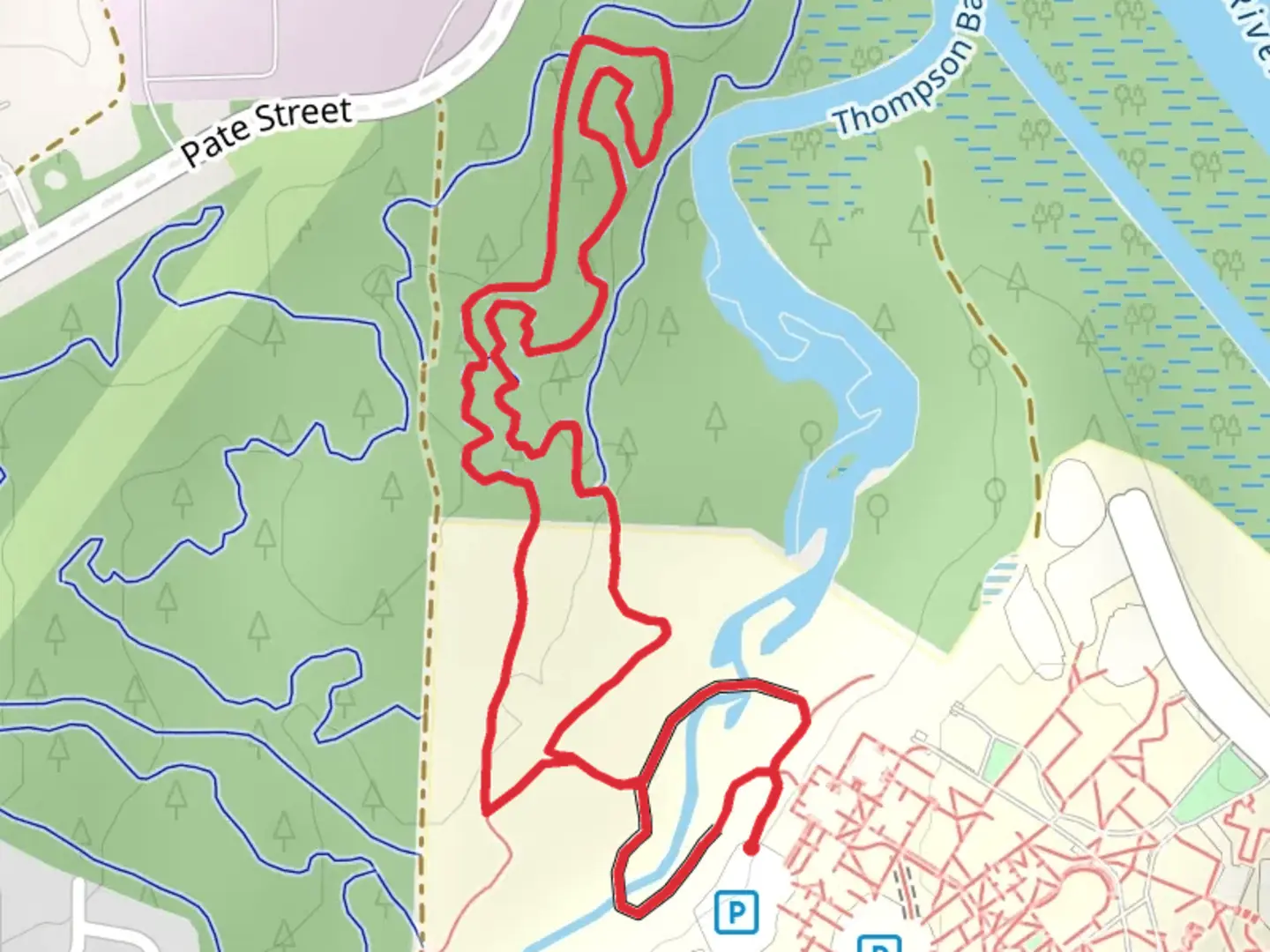An image depicting the trail Edward Ball Nature Trail Loop and its surrounding area.