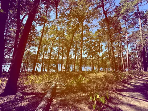 Dogwood and Prairie Branch Loop Trail