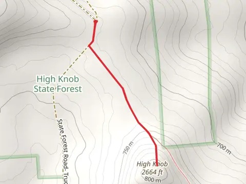 High Knob from State Forest Road