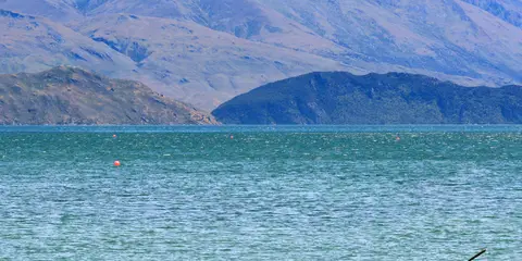 An image depicting the trail Lake Wānaka Lookout Track and its surrounding area.