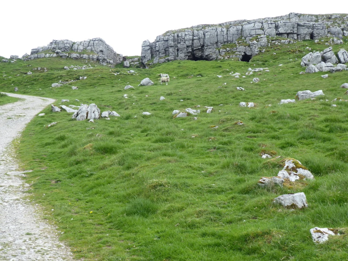 An image depicting the trail Settle Loop and its surrounding area.