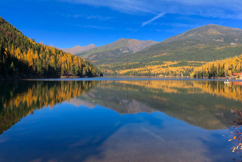 An image depicting the trail Coopers Lake Trail and its surrounding area.
