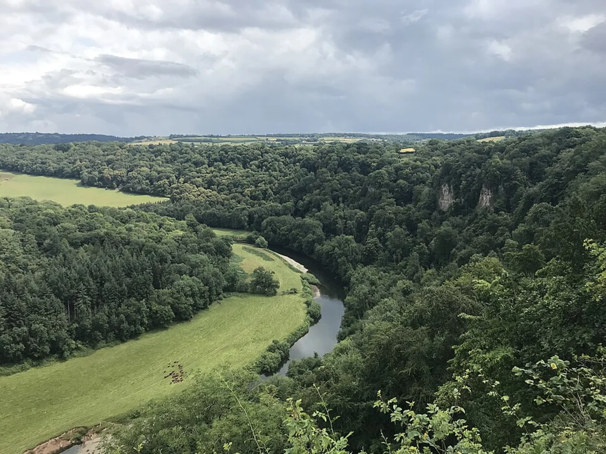 Wye Valley National Landscape Loop via Symonds Yat Rock