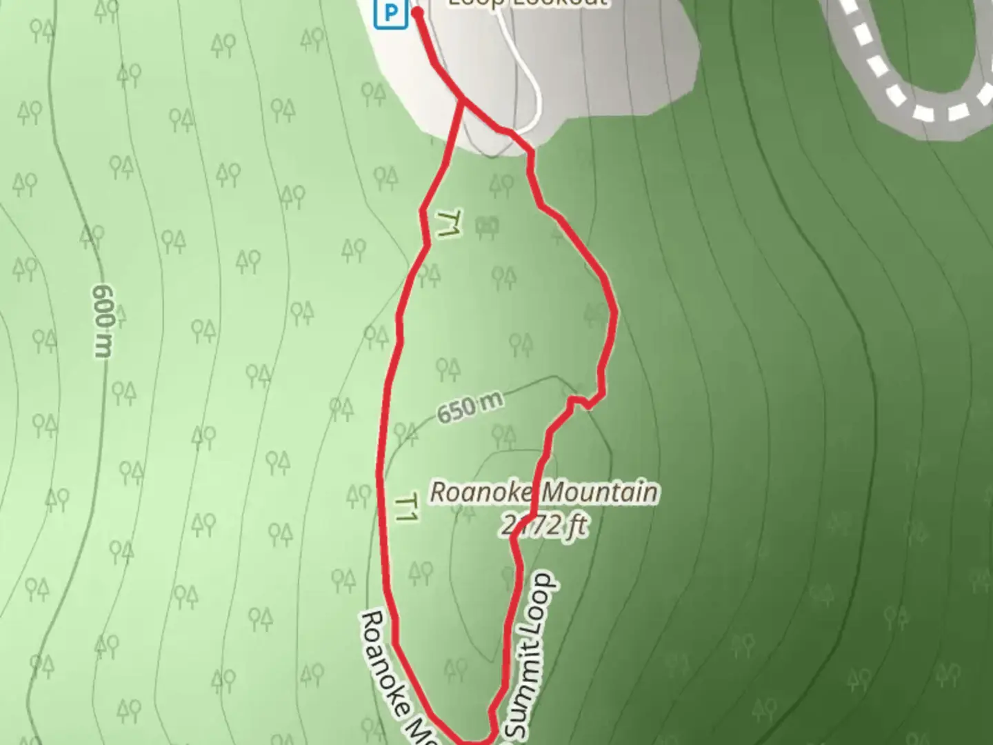 An image depicting the trail Roanoke Mountain Loop and its surrounding area.
