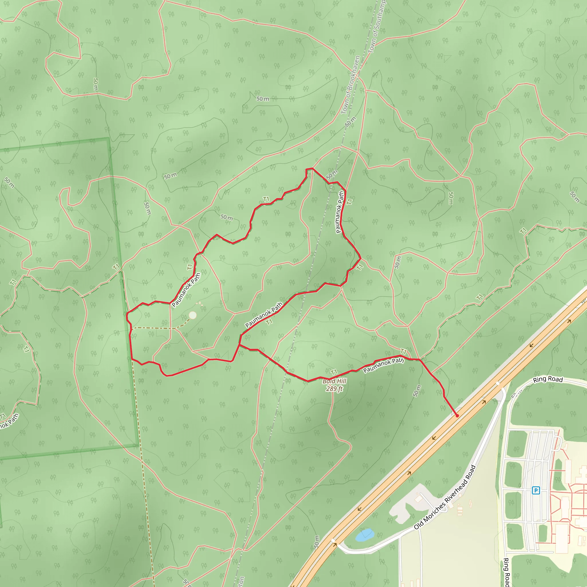 Bald Hill and Paumanok Path Loop mobile static map