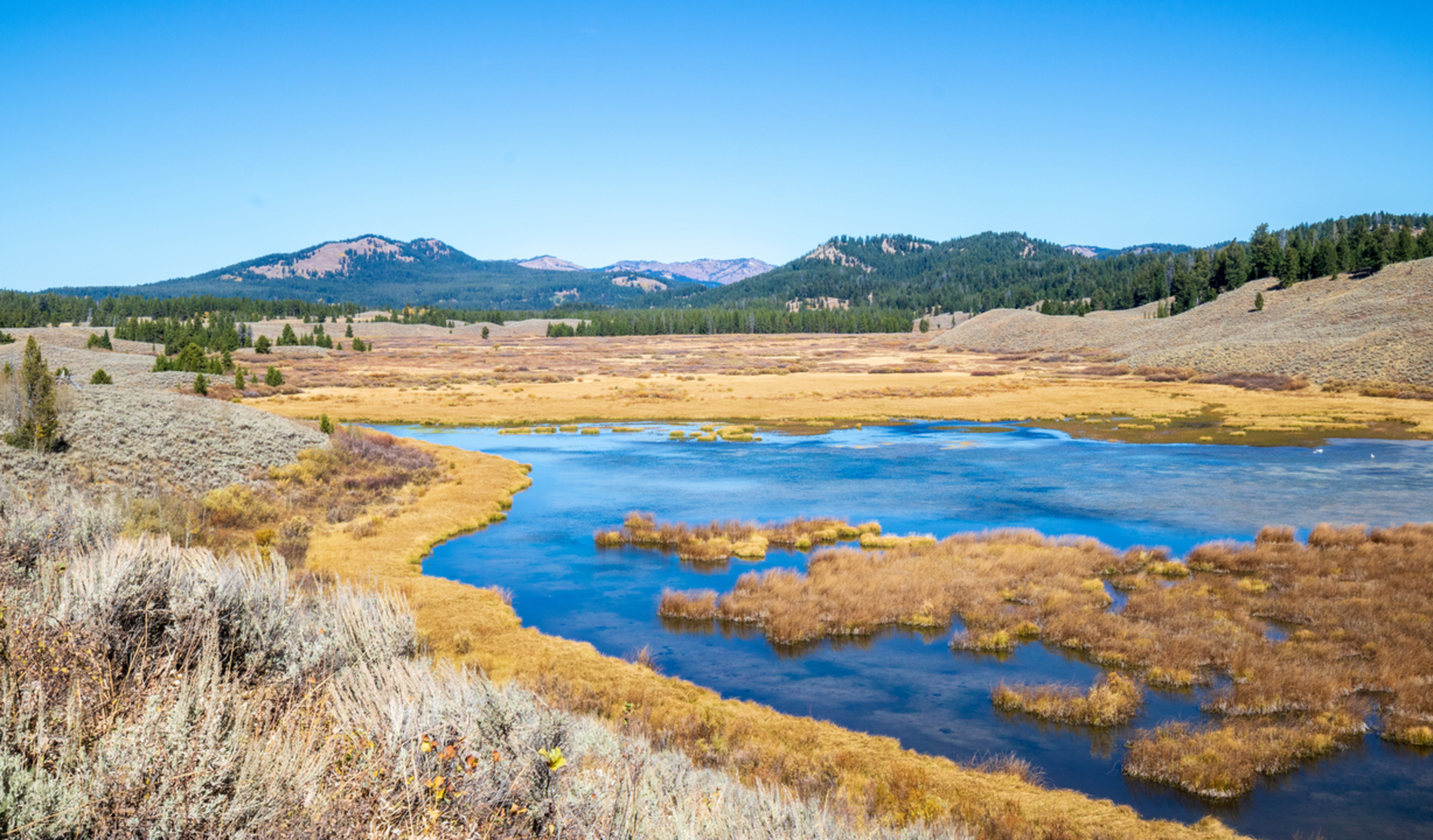 An image depicting the trail Christian Pond Loop Trail and its surrounding area.