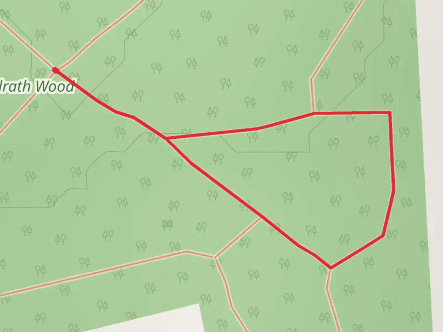 An image depicting the trail Balrath Wood - Easy Walk and its surrounding area.