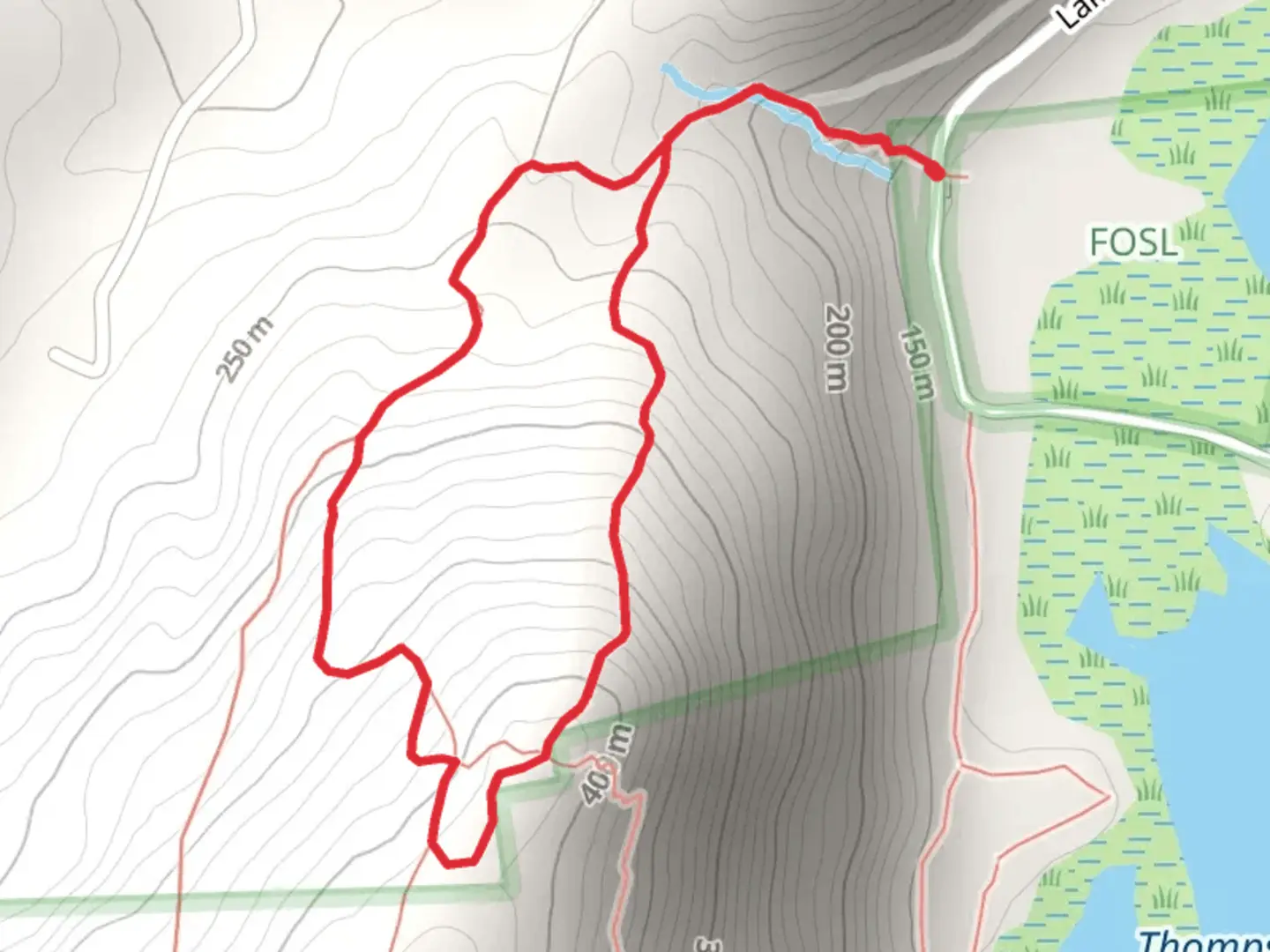 An image depicting the trail Yellow - Blue Trail Loop from Stissing Pond Loop and its surrounding area.