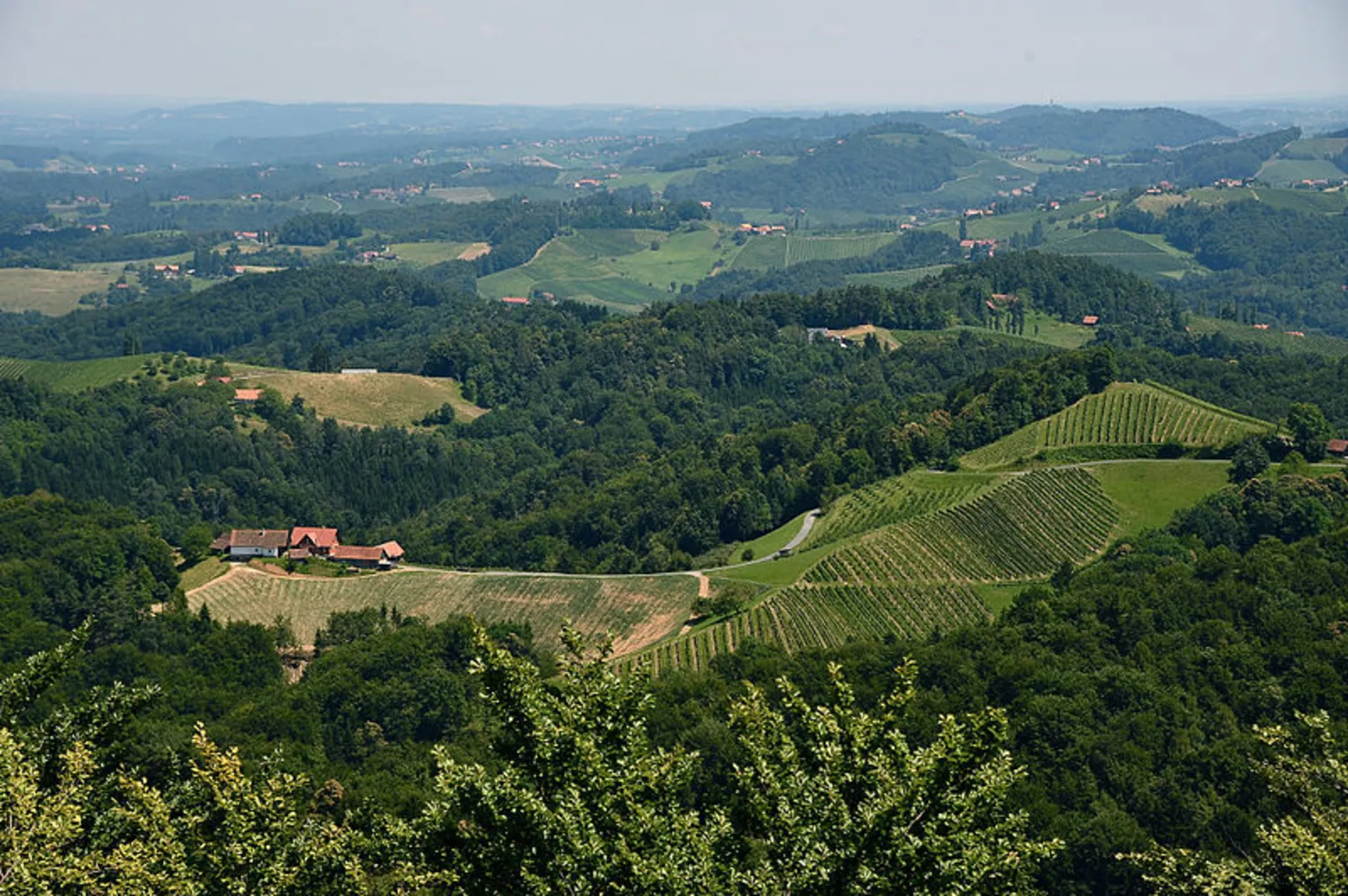 An image depicting the trail 3 Castles Loop from Eichberg and its surrounding area.