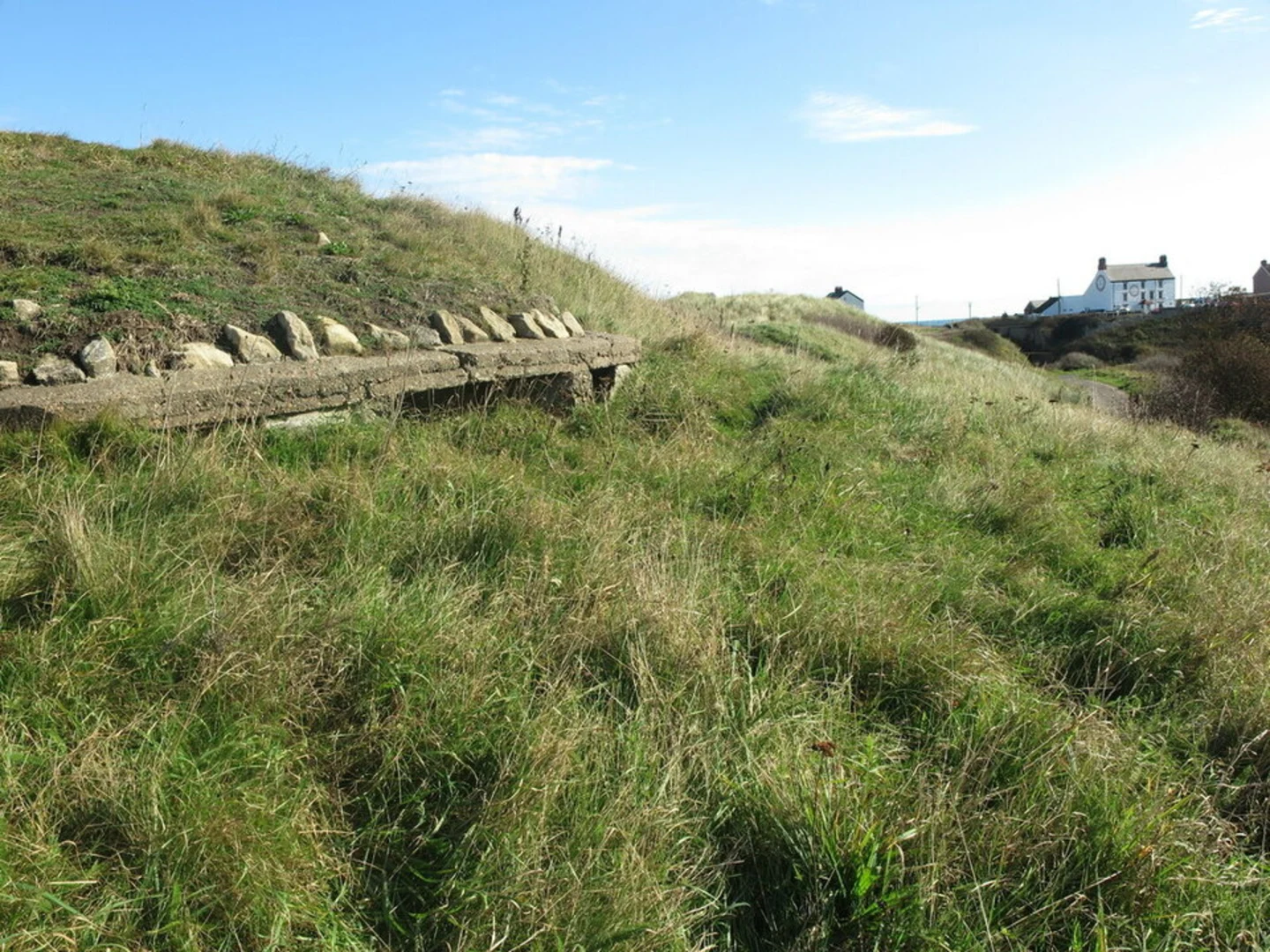 An image depicting the trail Seaton Sluice Walk and its surrounding area.