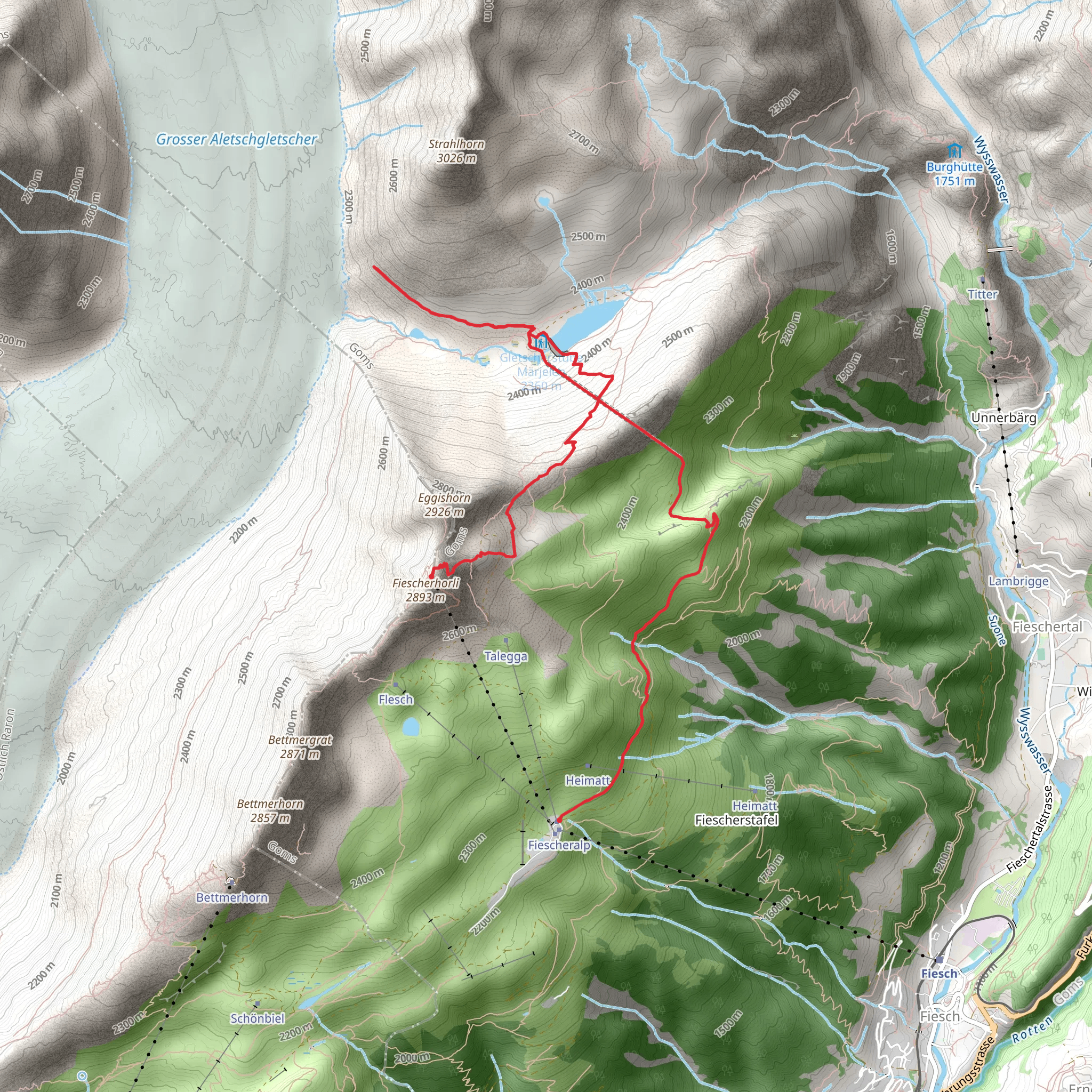 Aletsch Glacier from Eggishorn mobile static map
