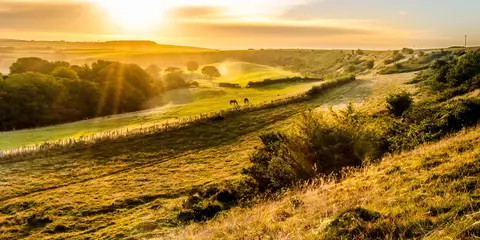 An image depicting the trail West Dorset from Litton Cheney and its surrounding area.