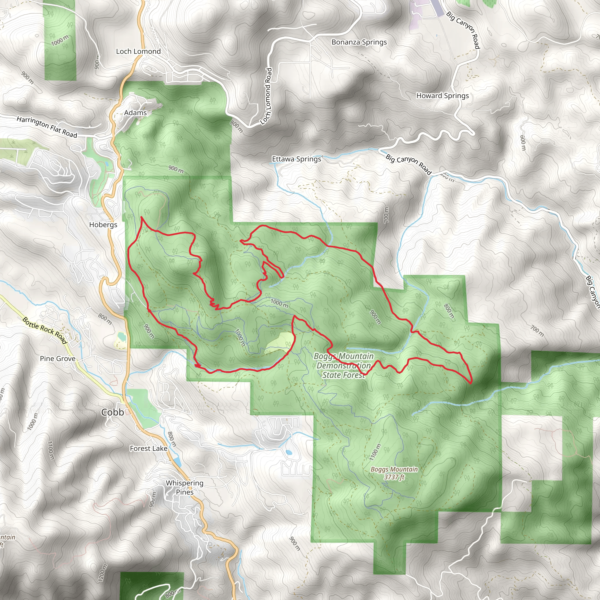Boggs Mountain Demonstration State Forest Loop mobile static map