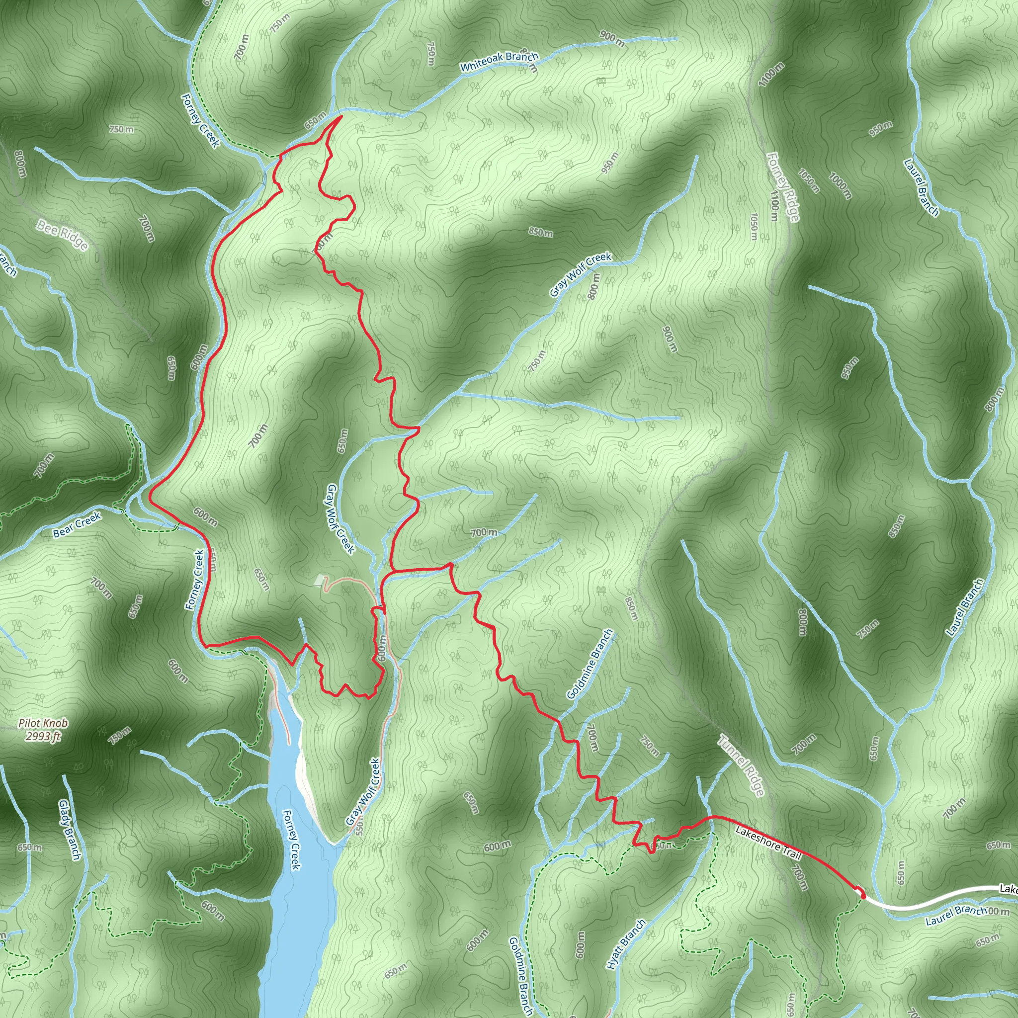Whiteoak Branch Trail and Forney Creek Loop Trail mobile static map