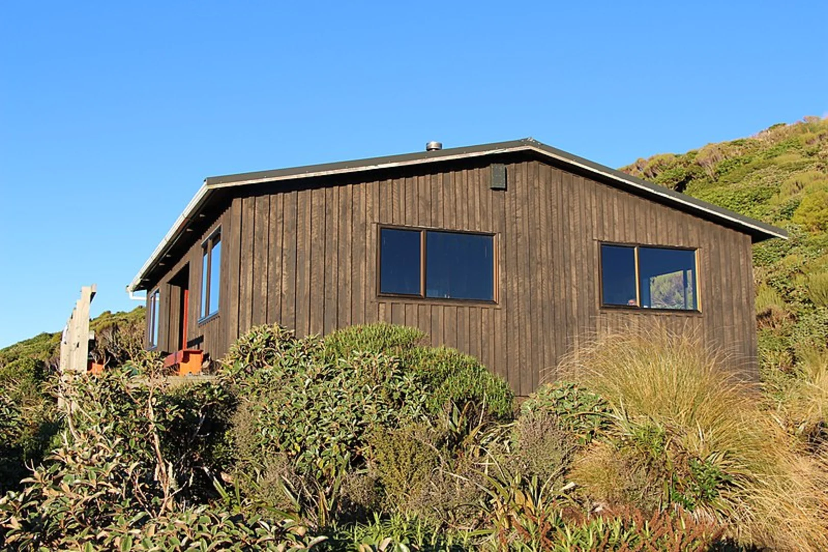 An image depicting the trail Mangorei Track to Henry Peak and its surrounding area.