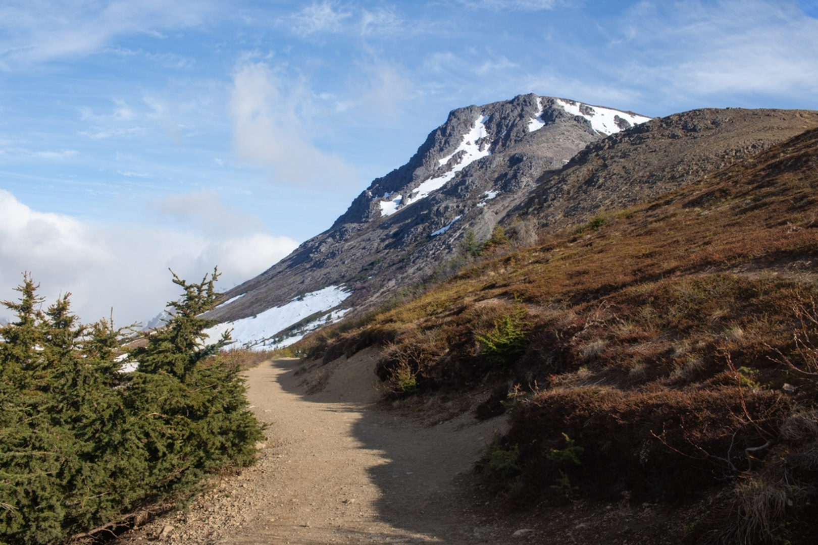 An image depicting the trail Blueberry Knoll and Flattop Mountain Loop and its surrounding area.