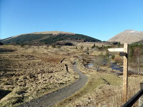 An image depicting the trail Glen Cononish Loop and its surrounding area.