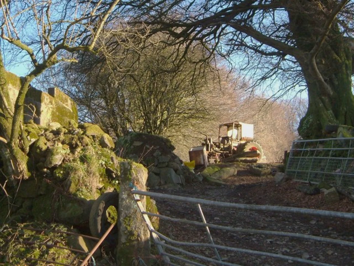 An image depicting the trail Langstone Man Loop and its surrounding area.
