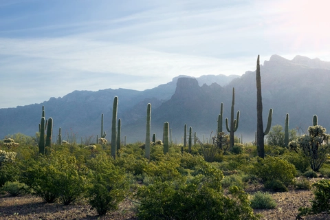 An image depicting the trail Alamo Canyon Trail and its surrounding area.