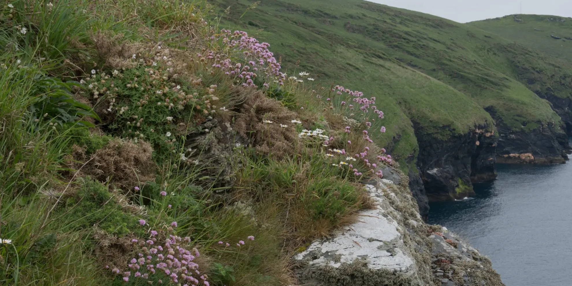 An image depicting the trail Beeny Cliff and Pentargon Falls Walk and its surrounding area.