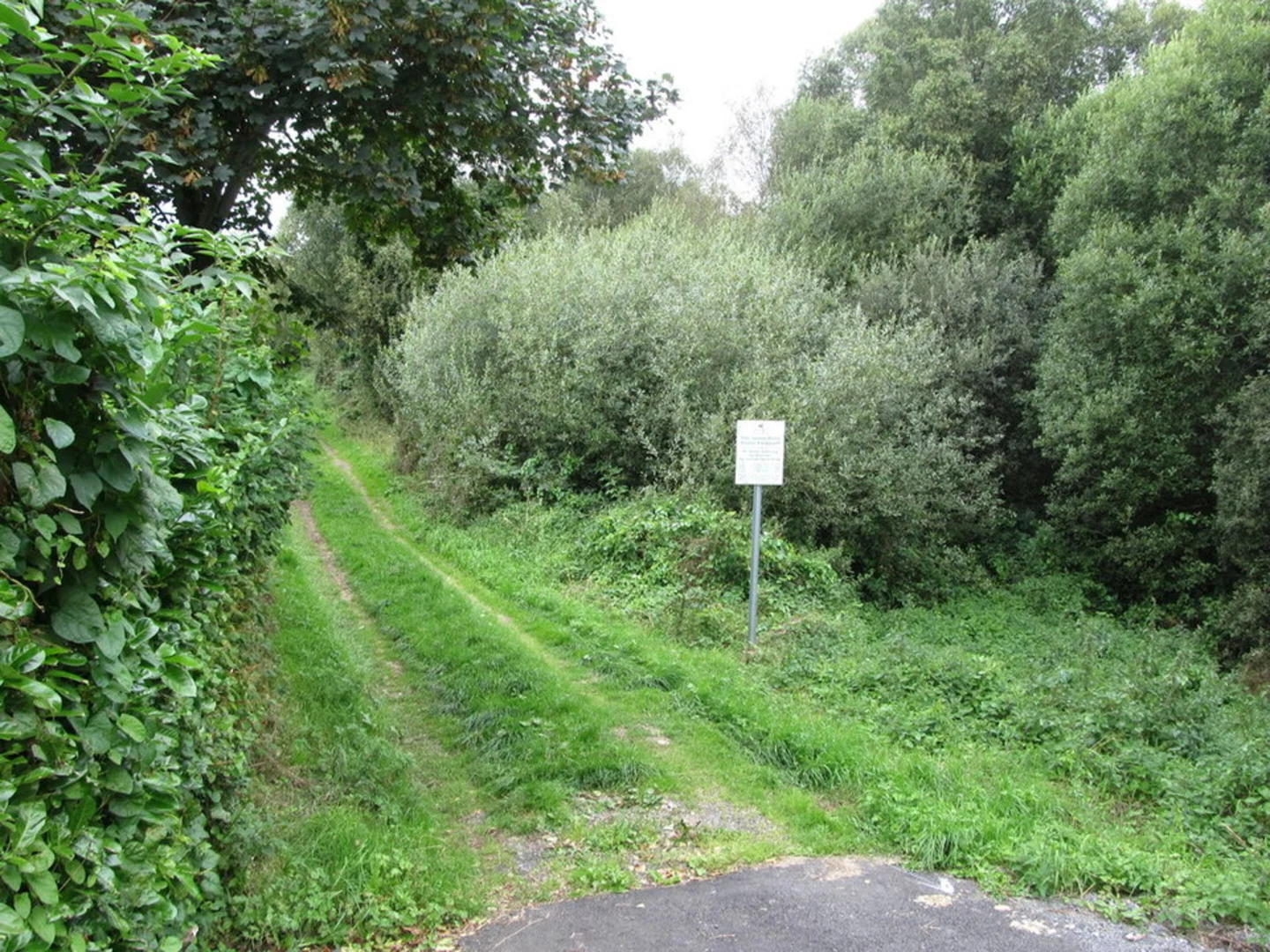 An image depicting the trail Ballyroney Lackan Bog Walk and its surrounding area.