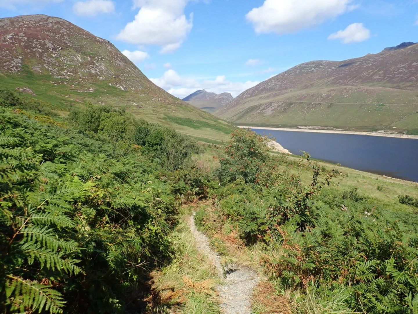 An image depicting the trail Silent Valley Reservoir and Slieve Muck Loop and its surrounding area.