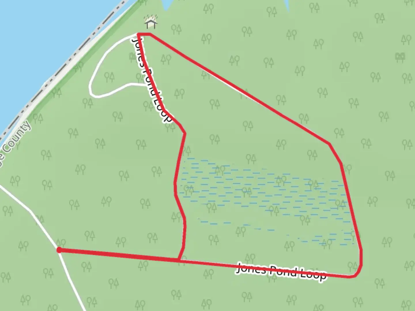 An image depicting the trail Jones Pond Loop and its surrounding area.