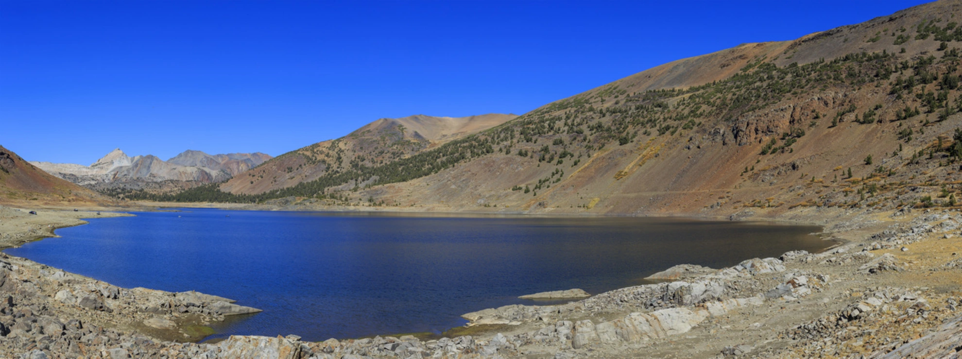 An image depicting the trail Saddlebag Lake Loop Trail and its surrounding area.