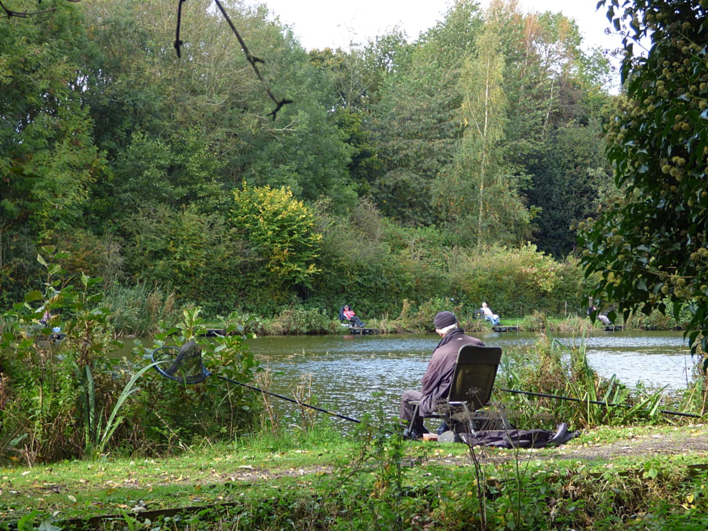 An image depicting the trail Dingle Lake and St Mary's Wood and its surrounding area.