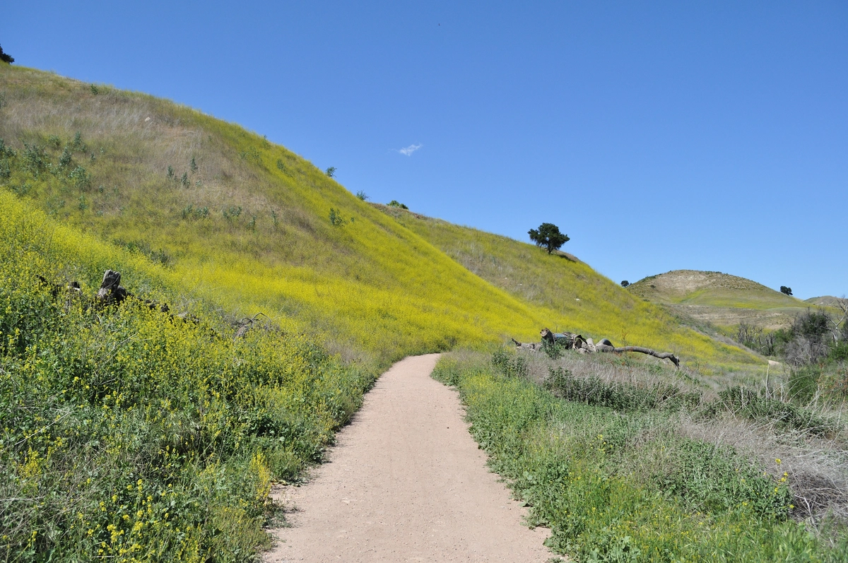 East Las Virgenes Canyon Trail and Laskey Mesa Loop