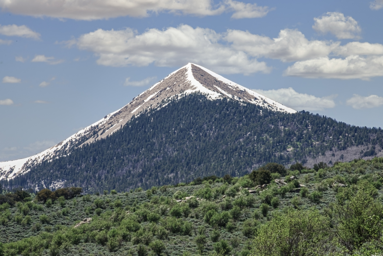 An image depicting the trail Pole Canyon Trail and its surrounding area.