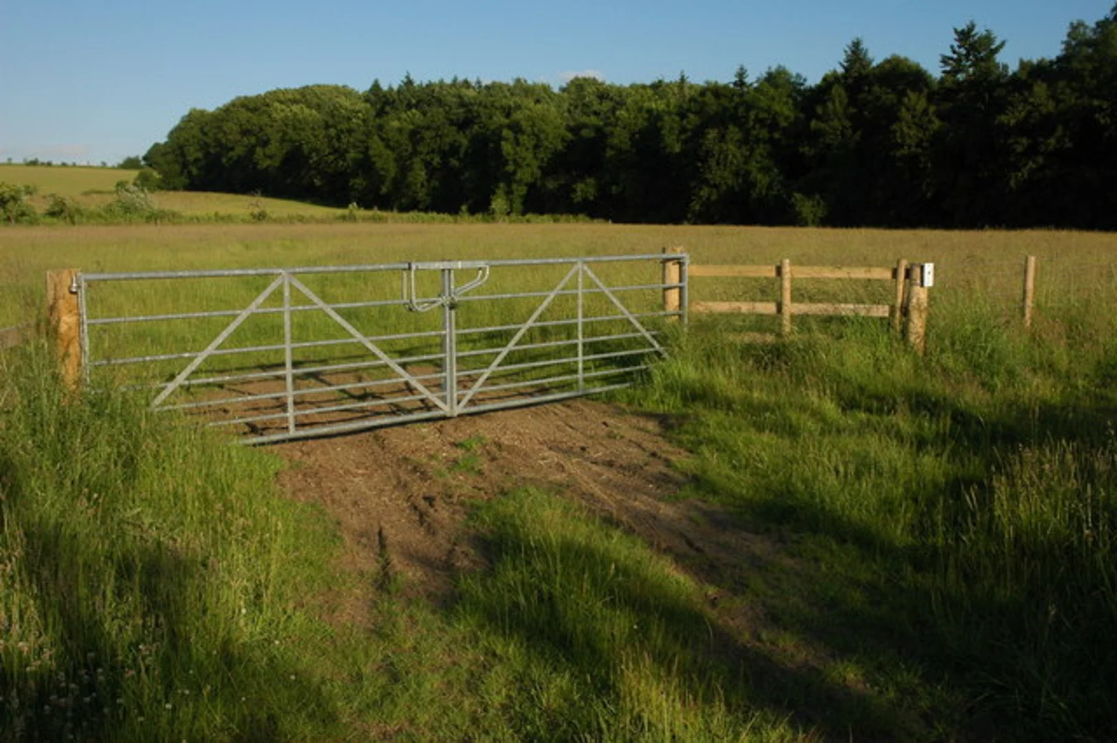 An image depicting the trail Tiddesley Wood Loop and its surrounding area.
