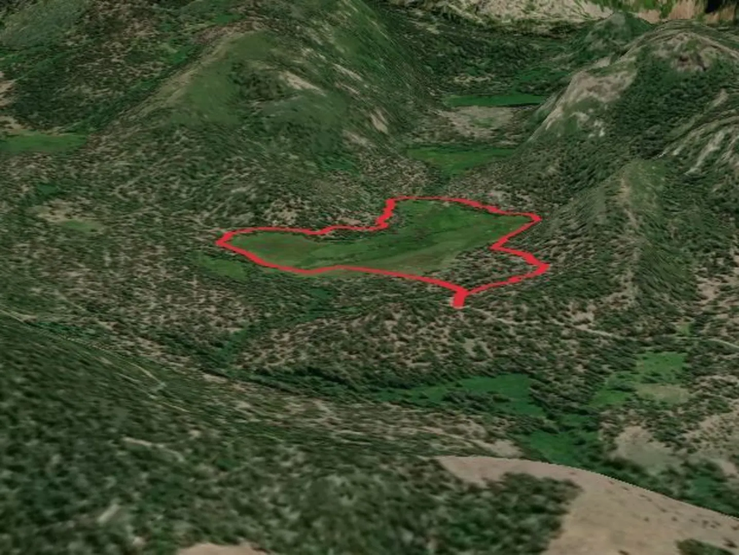 An image depicting the trail Loney Meadows Trail and its surrounding area.